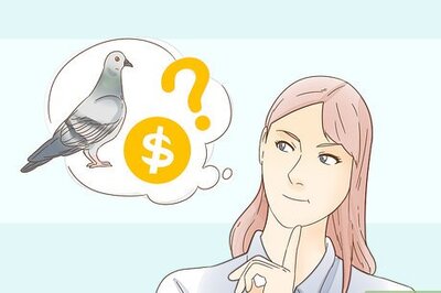 How to Train a Homing Pigeon