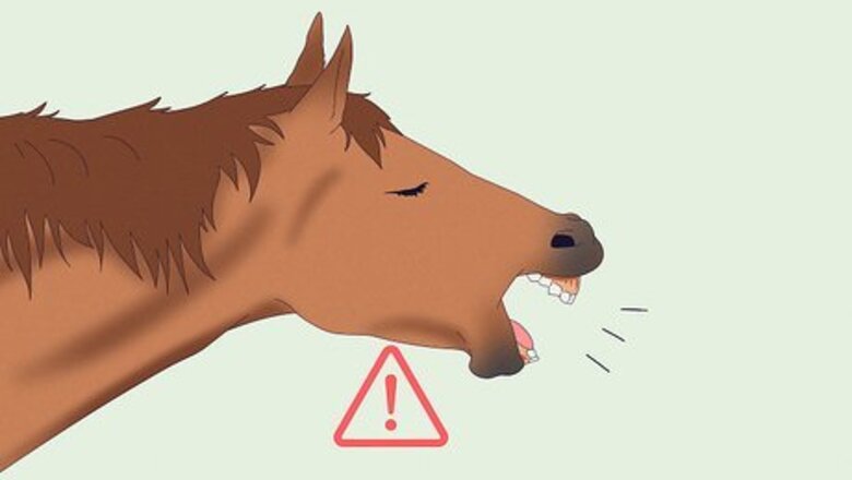 How to Help a Horse With Choke