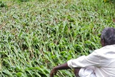 PM Kisan Scheme 13th Installment: Who Is Eligible, Who Can't Get It, List Of Documents Required