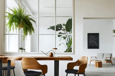 Beyond the Cubicle: How Companies Are Prioritizing Employee Wellbeing