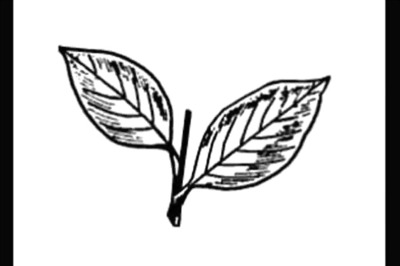 TN Minister hits out at Karunanidhi, Stalin