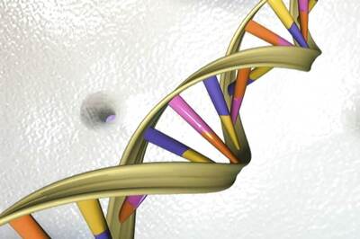 Scientists Working Toward Reversible Kind of Gene Editing