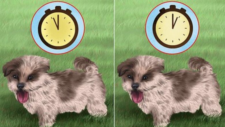 How to Prepare Your Small Dog for Apartment Living
