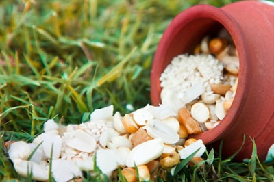 From Khichdi to Tilkut, How Makar Sankranti is Celebrated Across India