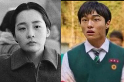 Yearender 2022: Pachinko to All of Us Are Dead, 10 Best K-Dramas of 2022 That Must Be on Your Watchlist