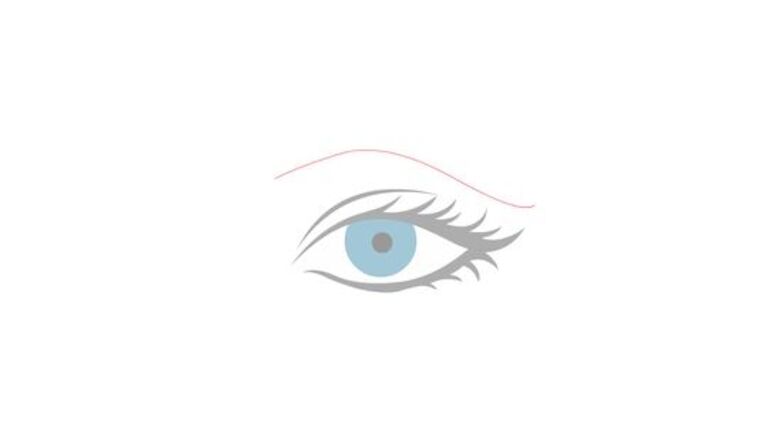 How to Draw an Eyebrow