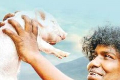Actor Arya Releases Trailer of Yogi Babu Starrer Panni Kutty