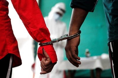 Man Jailed for 6 Months for Sexually Abusing Stray Dog in Thane City