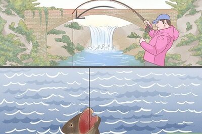 How to Reel in a Large Fish