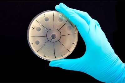 This Startup Wants to Fight Bacterial Infection With Viruses; You Wouldn’t Have Guessed it