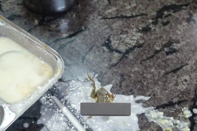 KIIT Bhubneshwar Slammed After Dead Frog Found in Hostel's Food, College Responds