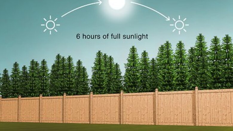 How to Prepare a Garden Plot