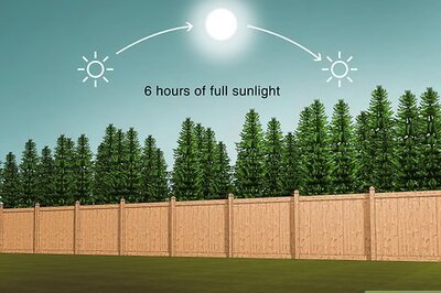 How to Prepare a Garden Plot