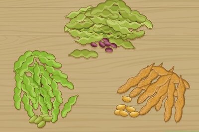 How to Grow Soybeans