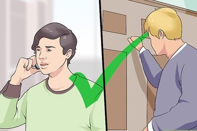 How to Introduce a New Dog to Visitors