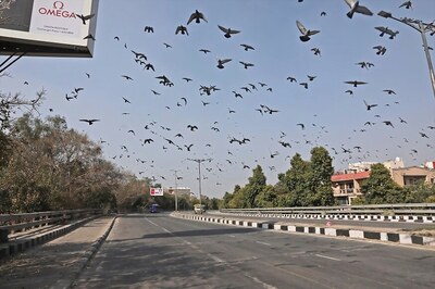 Lockdown Fallout: Trade at Delhi's Azadpur Market Down 50% in Absence of Curfew Passes