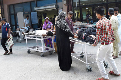 Chikungunya Death Toll Rises to 13; Centre Seeks Report From Delhi Govt