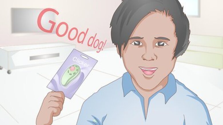 How to Train a Dog to Stand Up