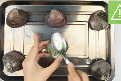 How to Clean Clams