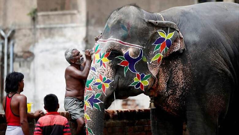 4 Elephants From Assam to be Sent on ‘Cruel, Stressful’ Train Trip for Rath Yatra Festival in Ahmedabad