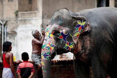 4 Elephants From Assam to be Sent on ‘Cruel, Stressful’ Train Trip for Rath Yatra Festival in Ahmedabad