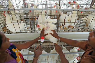 Bengaluru: BBMP bans sale of meat on Ganesh Chaturthi festival