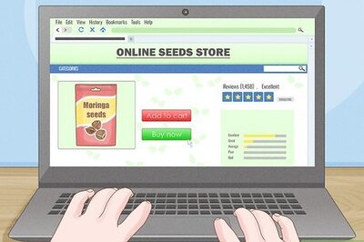 How to Grow a Moringa Tree