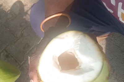 Why This Vendor Is Selling Coconut Water At Half Price In Uttara Kannada District