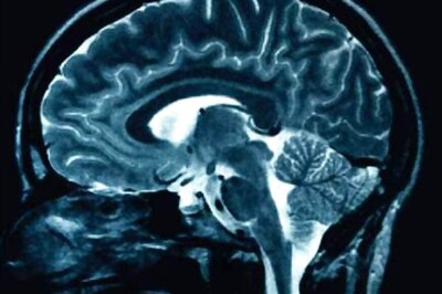 Our Brain Likes New Information as Much as Money: Study