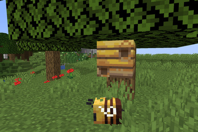 How to Keep Bees in Minecraft