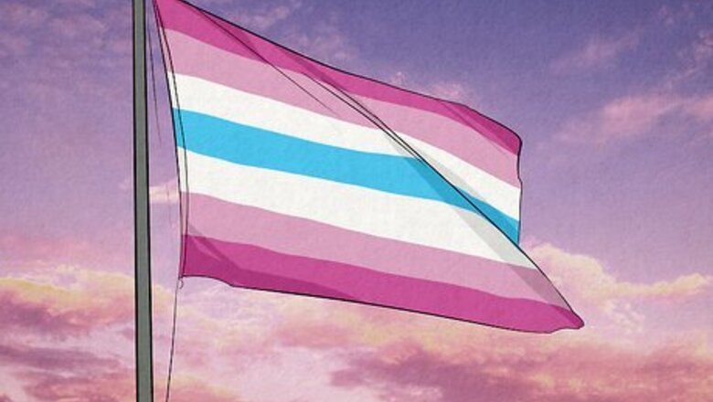 What Does the Femboy Pride Flag Look Like?
