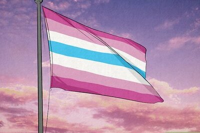 What Does the Femboy Pride Flag Look Like?
