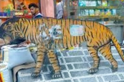 In Uttarakhand’s Almora, This Landmark Lion Statue In Lala Bazaar Has A Rich History