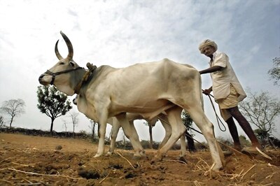 NITI Aayog Charts Plan to Double Farmers’ Income in 5 Years