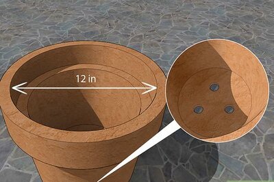 How to Grow Herbs in Pots