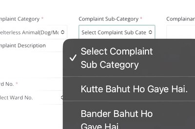 'Kutta Pagal Ho Gaya Hai, Bandar Bahut...': Jaipur Municipal Corporation's Website Going Viral For Hilarious Hinglish