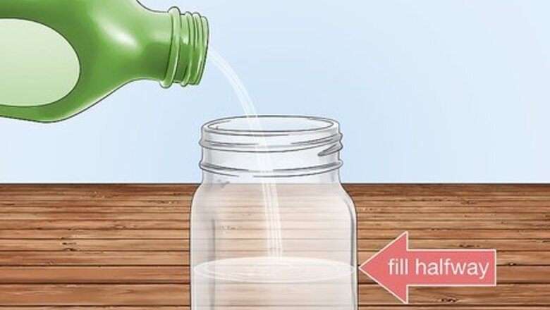How to Preserve Insects