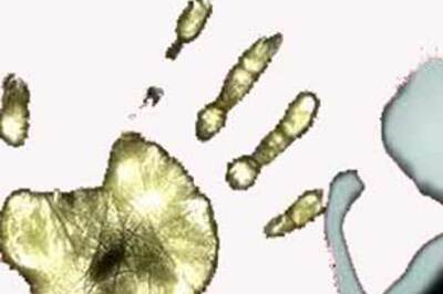 Pushy father convicted for killing tennis player son