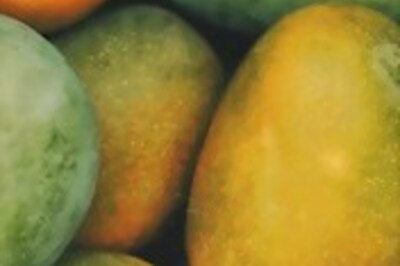 Summer Mango Drinks That Are Too Good to Miss