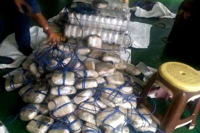 Three, Including Mexican National, Held With Drugs Worth Rs 100 Crore in Madhya Pradesh