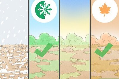 How to Sow Grass Seed