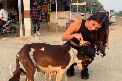 Tara Sutaria Feeds Starving Stray Dogs, Urges Fans To 'Do The Same'