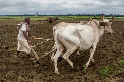 Union Budget 2018: Crop Insurance Scheme Likely to Get Rs 13,000 Crore in FY19 Budget