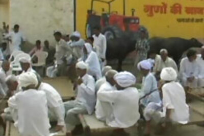 Honour killing? Teen lovers murdered near Noida