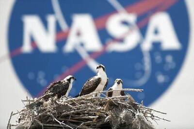 NASA Postpones James Webb Space Telescope Launch to 2021