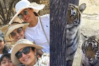 Shilpa Shetty Spots Tigers During Her Safari Trip To Ranthambore With Family; Watch Viral Video