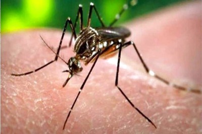 Zika Virus Adds to Kerala's Woes. All You Need to Know About Symptoms, Prevention & Cure