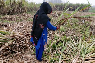 Army Officer Damages Crop on Disputed Farm Land With Help of Soldiers in Maharashtra Village