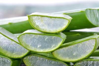 Face Mask To Body Spray, 5 Aloe Vera Beauty Hacks To Try This Summer
