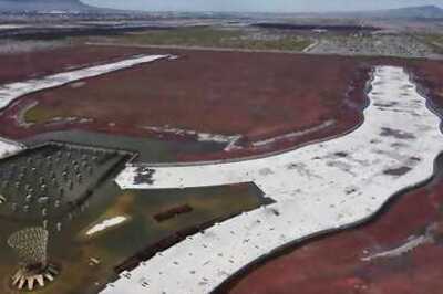 Trees, Birds, Ponds: Mexico City's Ancient Lake Reclaims Scrapped Airport